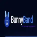 Bunny Band