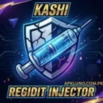 Kashi Regedit Injector