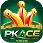 PK ACE