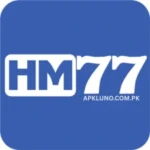 HM77 Game