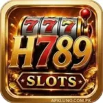 H789 Game